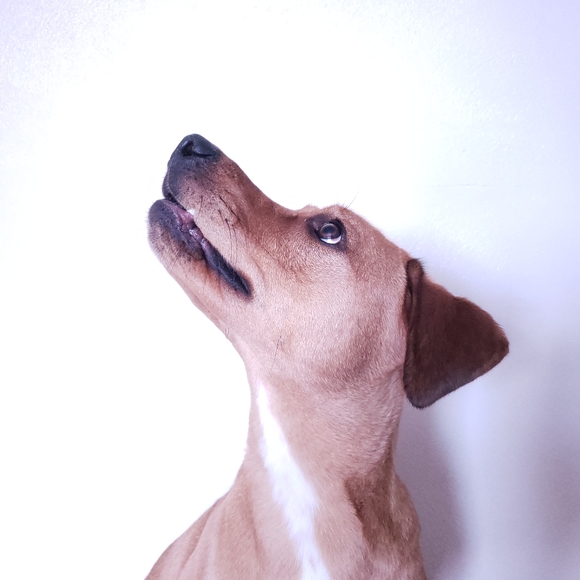 Hi! I'm Whitney! - Picture 6 of 9